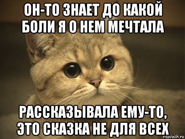 он-то знает до какой боли я о нем мечтала рассказывала ему-то, это сказка не для всех, Мем Пидрила ебаная котик