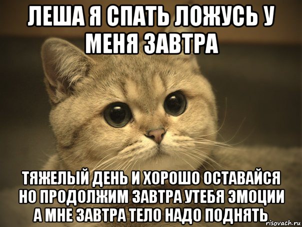 леша я спать ложусь у меня завтра тяжелый день и хорошо оставайся но продолжим завтра утебя эмоции а мне завтра тело надо поднять