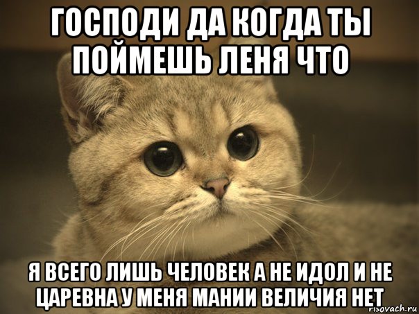 господи да когда ты поймешь леня что я всего лишь человек а не идол и не царевна у меня мании величия нет, Мем Пидрила ебаная котик