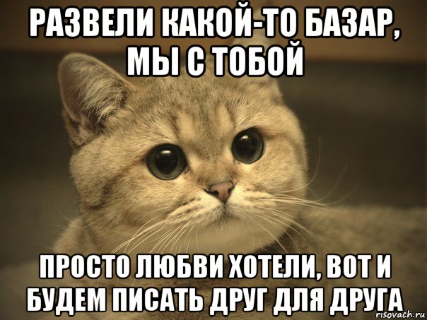 развели какой-то базар, мы с тобой просто любви хотели, вот и будем писать друг для друга, Мем Пидрила ебаная котик