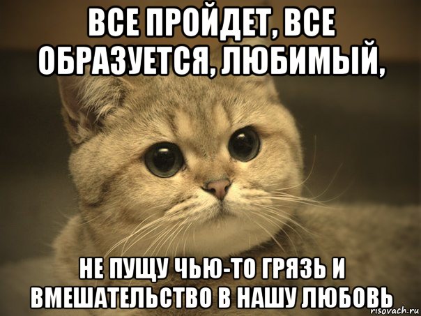 все пройдет, все образуется, любимый, не пущу чью-то грязь и вмешательство в нашу любовь, Мем Пидрила ебаная котик