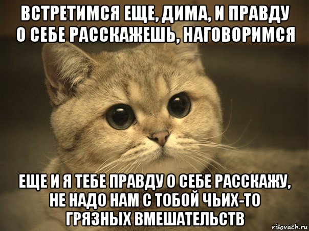 встретимся еще, дима, и правду о себе расскажешь, наговоримся еще и я тебе правду о себе расскажу, не надо нам с тобой чьих-то грязных вмешательств, Мем Пидрила ебаная котик