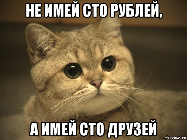 не имей сто рублей, а имей сто друзей, Мем Пидрила ебаная котик