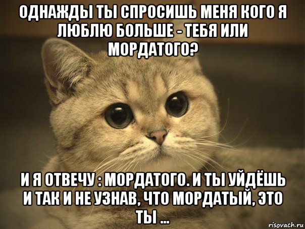 однажды ты спросишь меня кого я люблю больше - тебя или мордатого? и я отвечу : мордатого. и ты уйдёшь и так и не узнав, что мордатый, это ты ...