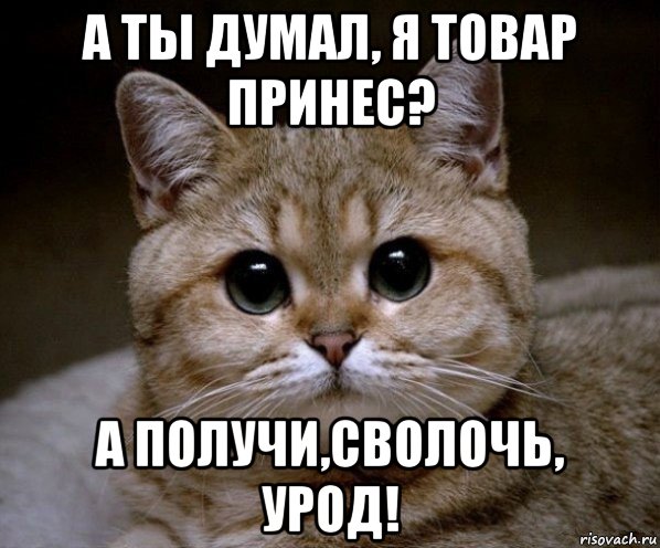 а ты думал, я товар принес? а получи,сволочь, урод!, Мем Пидрила Ебаная