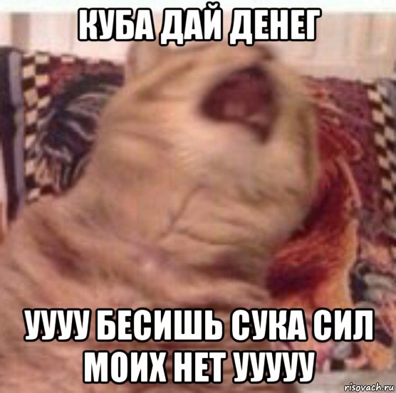 куба дай денег уууу бесишь сука сил моих нет ууууу
