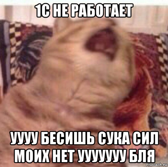 1с не работает уууу бесишь сука сил моих нет ууууууу бля
