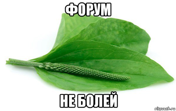 форум не болей