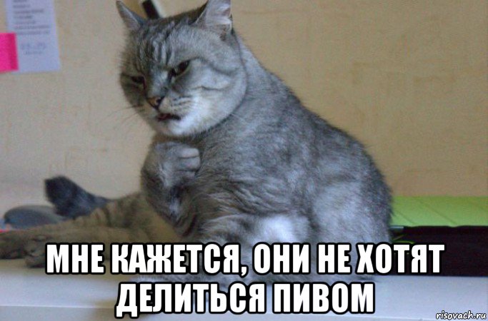  мне кажется, они не хотят делиться пивом, Мем подозрительно