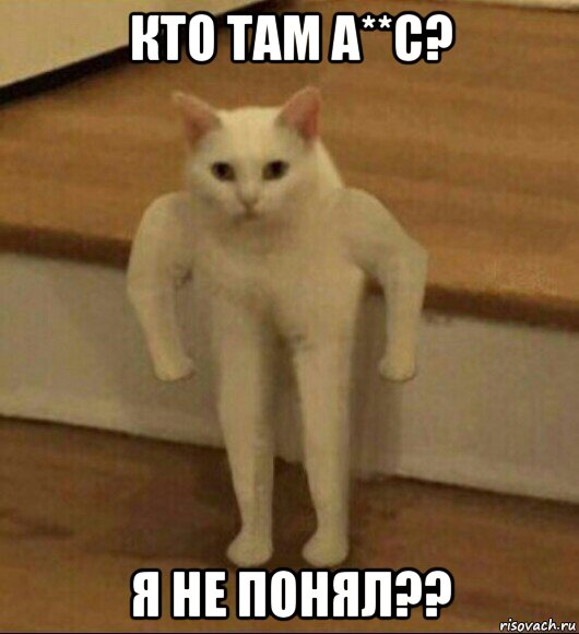 кто там а**с? я не понял??, Мем  Полукот