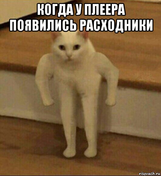 когда у плеера появились расходники 