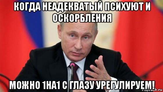 когда неадекватый психуют и оскорбления можно 1на1 с глазу урегулируем!, Мем Президент владмир путин герой и доброй