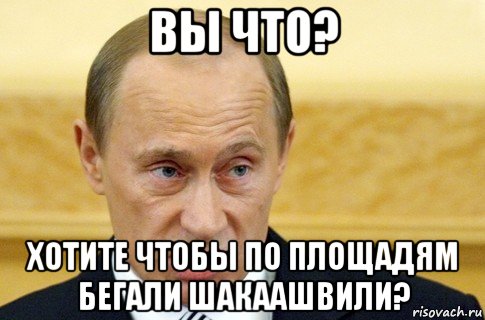 вы что? хотите чтобы по площадям бегали шакаашвили?, Мем путин