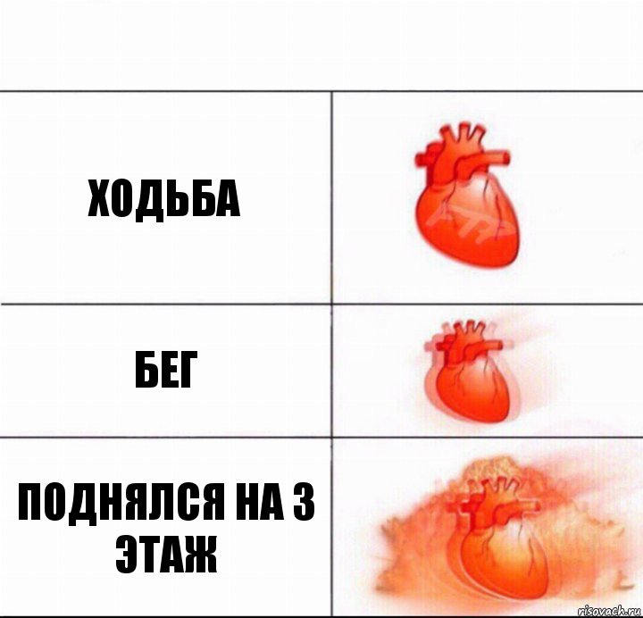 Ходьба Бег Поднялся на 3 этаж