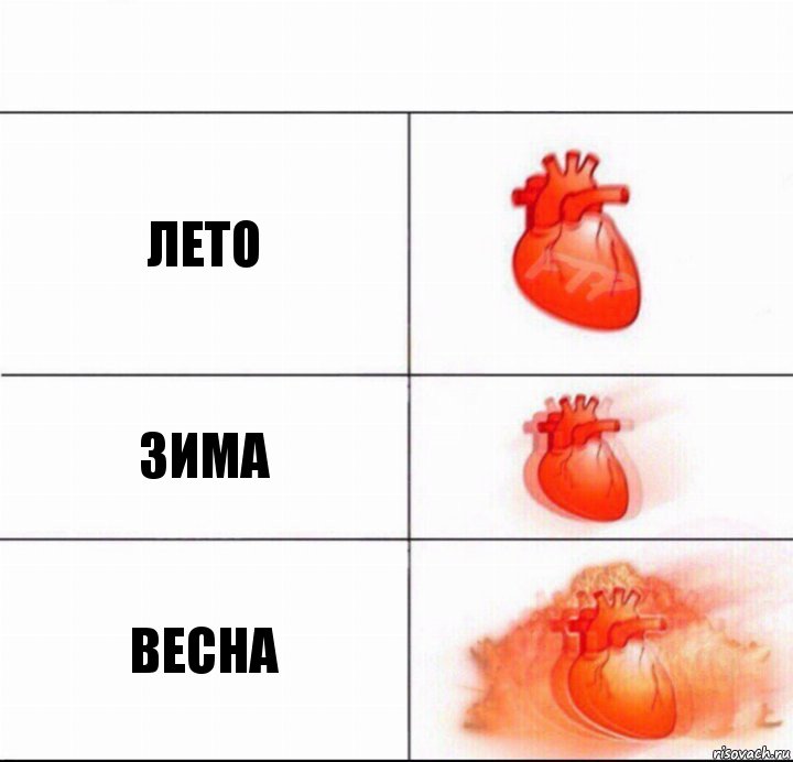 лето зима весна