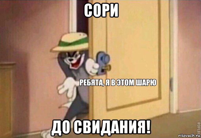 сори до свидания!, Мем    Ребята я в этом шарю