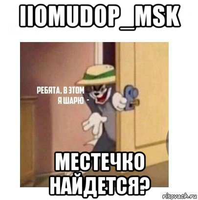 iiomudop_msk местечко найдется?, Мем Ребята я в этом шарю