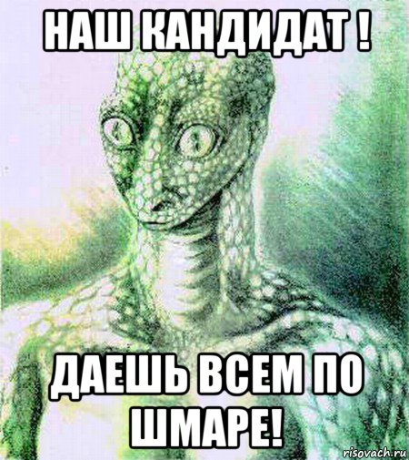 наш кандидат ! даешь всем по шмаре!