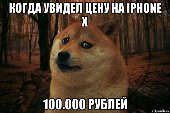 когда увидел цену на iphone x 100.000 рублей, Мем SAD DOGE