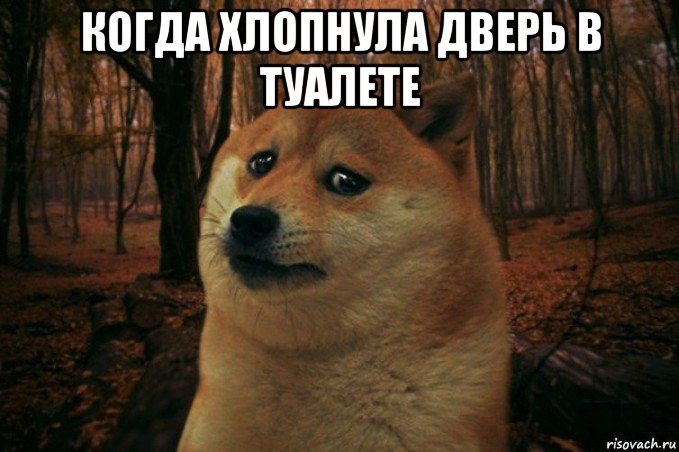 когда хлопнула дверь в туалете , Мем SAD DOGE