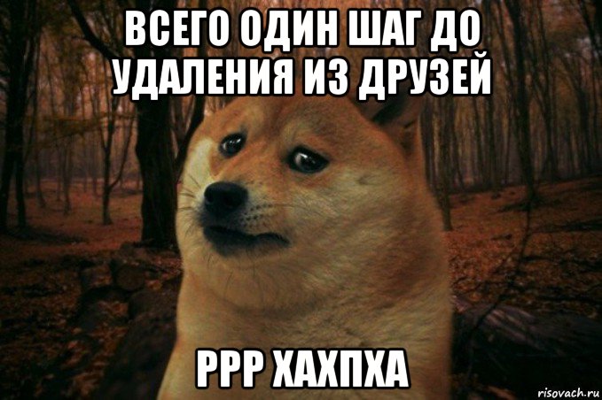 всего один шаг до удаления из друзей ррр хахпха, Мем SAD DOGE