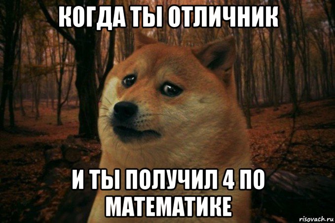 когда ты отличник и ты получил 4 по математике, Мем SAD DOGE