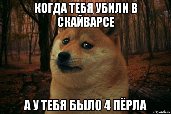 когда тебя убили в скайварсе а у тебя было 4 пёрла, Мем SAD DOGE