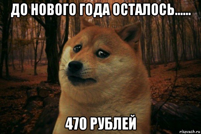 до нового года осталось...... 470 рублей, Мем SAD DOGE