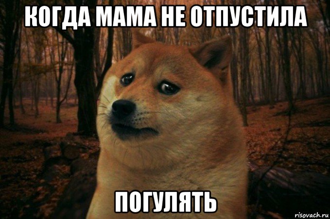 когда мама не отпустила погулять, Мем SAD DOGE