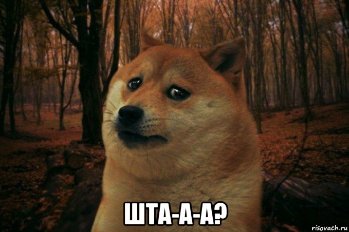  шта-а-а?, Мем SAD DOGE