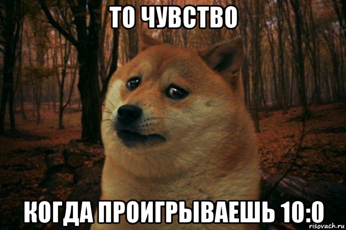 то чувство когда проигрываешь 10:0, Мем SAD DOGE