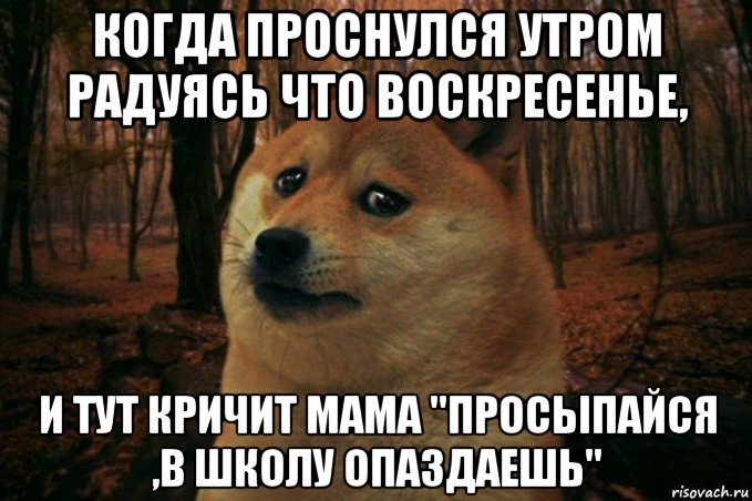 когда проснулся утром радуясь что воскресенье, и тут кричит мама "просыпайся ,в школу опаздаешь", Мем SAD DOGE