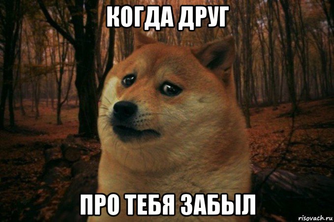 когда друг про тебя забыл, Мем SAD DOGE