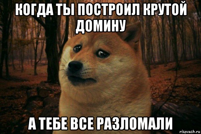 когда ты построил крутой домину а тебе все разломали, Мем SAD DOGE