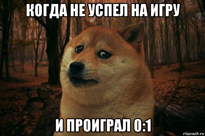 когда не успел на игру и проиграл 0:1, Мем SAD DOGE