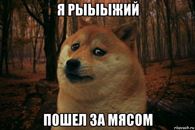 я рыыыжий пошел за мясом, Мем SAD DOGE