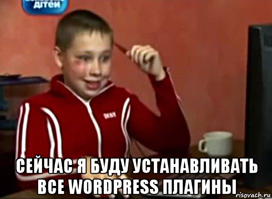  сейчас я буду устанавливать все wordpress плагины