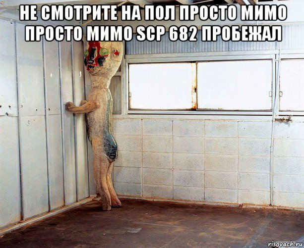 не смотрите на пол просто мимо просто мимо scp 682 пробежал 