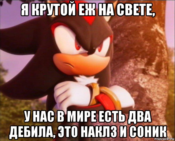 я крутой еж на свете, у нас в мире есть два дебила, это наклз и соник, Мем Шедоу думает