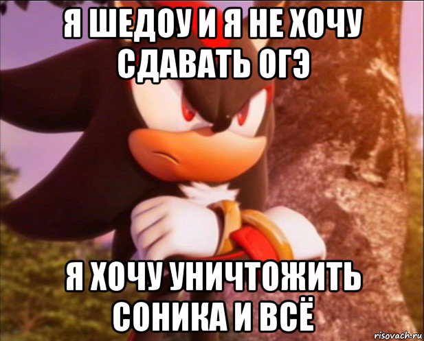 я шедоу и я не хочу сдавать огэ я хочу уничтожить соника и всё