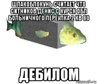 шлакоблокунь считает что ситников денис с курск обл больничного переулка 2 кв 80 дебилом