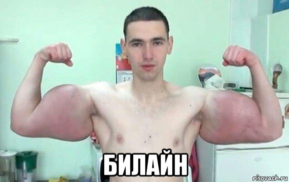  билайн, Мем Синтол