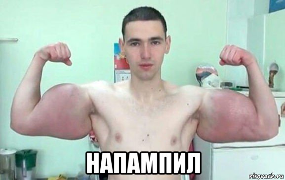  напампил, Мем Синтол