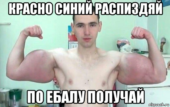 красно синий распиздяй по ебалу получай, Мем Синтол