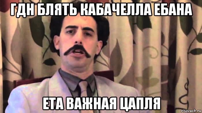 гдн блять кабачелла ебана ета важная цапля