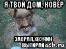 я твой дом, ковёр засрал, хозяин вытирай