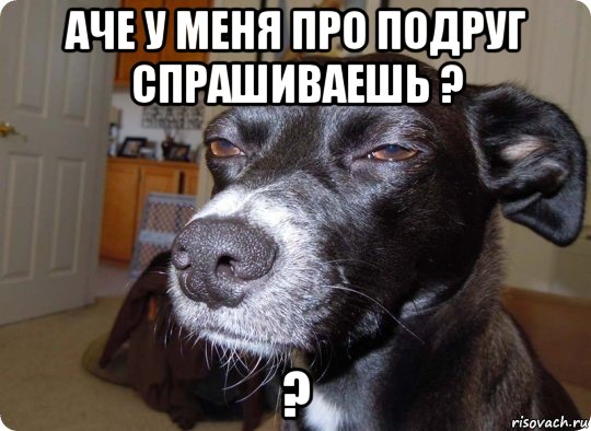 аче у меня про подруг спрашиваешь ? ?