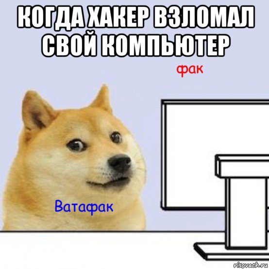 когда хакер взломал свой компьютер , Мем Собака за компьютером