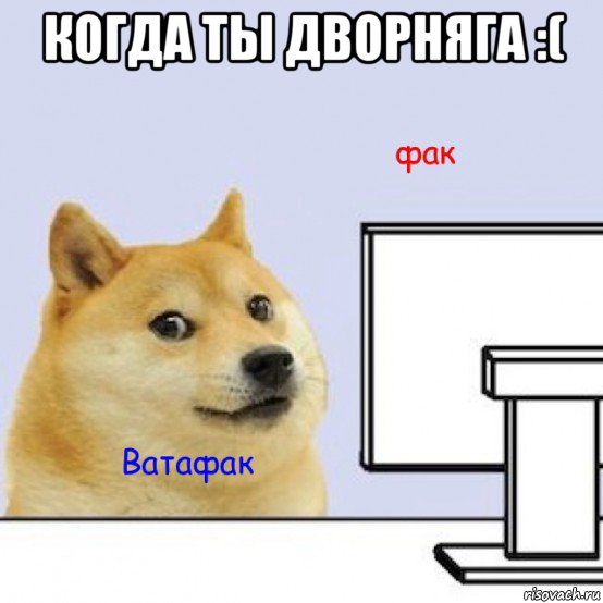 когда ты дворняга :( 
