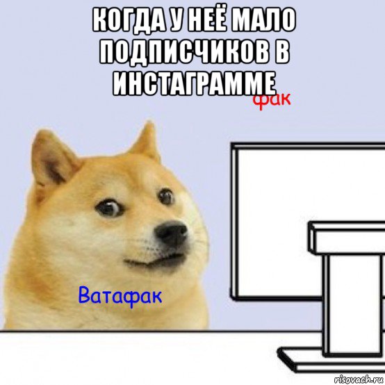 когда у неё мало подписчиков в инстаграмме 